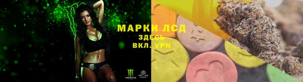 стафф Арсеньев