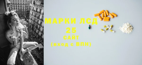 стафф Арсеньев
