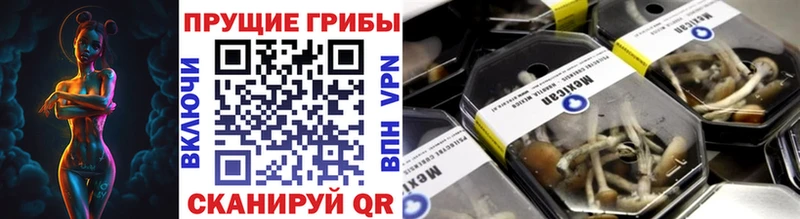 Галлюциногенные грибы GOLDEN TEACHER  купить   Суворов 